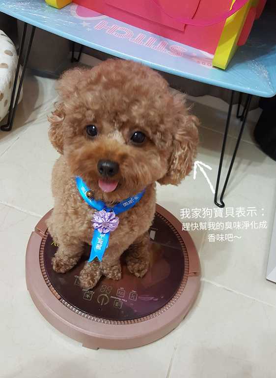 法拉第FARADAY3D潔淨機器人