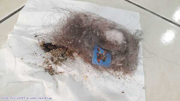 法拉第FARADAY3D潔淨機器人