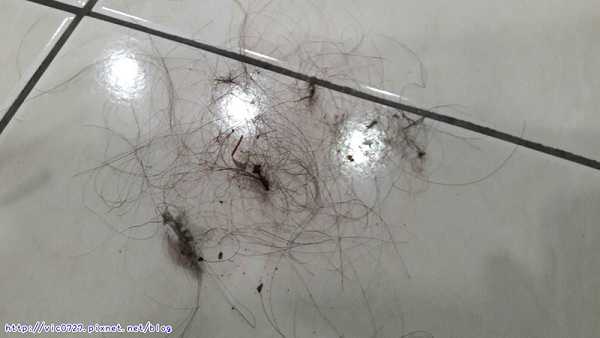 法拉第FARADAY3D潔淨機器人