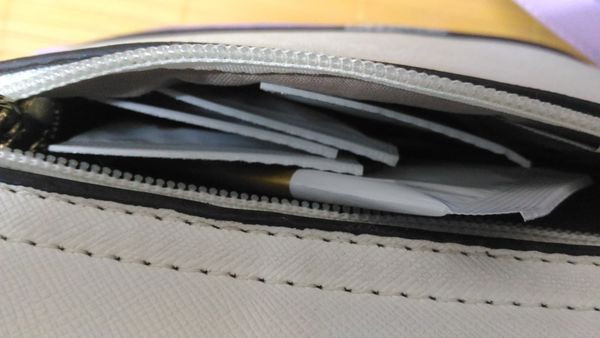 Dr.CurveS113專利乳酸菌