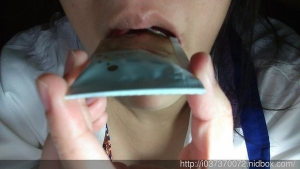 Dr.CurveS113專利乳酸菌