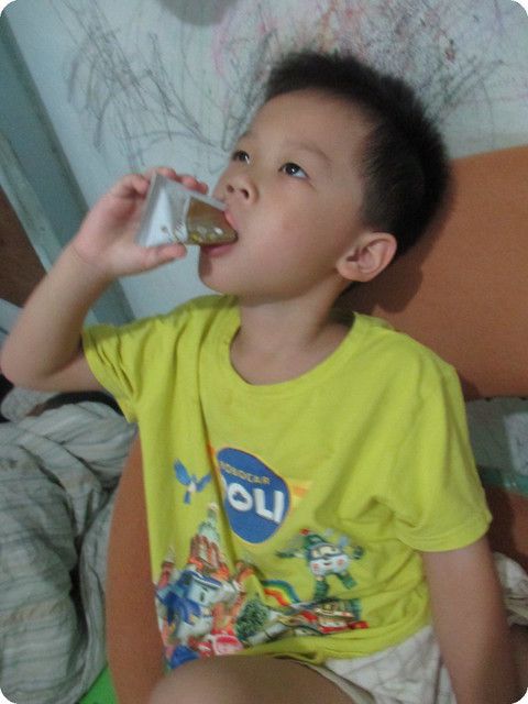 Dr.CurveS113專利乳酸菌