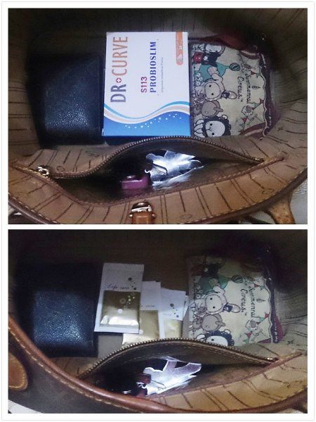 Dr.CurveS113專利乳酸菌