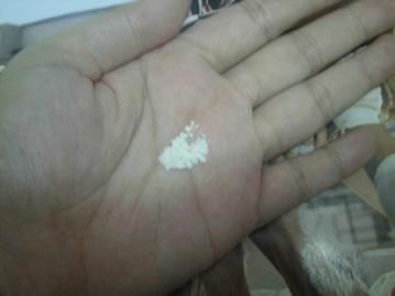 Dr.CurveS113專利乳酸菌