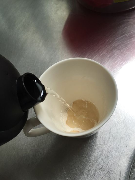 Dr.CurveS113專利乳酸菌