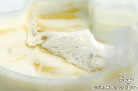 Dr.CurveS113專利乳酸菌