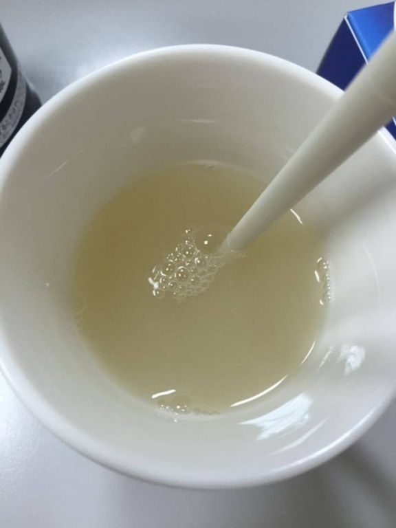 Dr.CurveS113專利乳酸菌