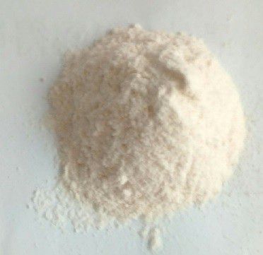 Dr.CurveS113專利乳酸菌