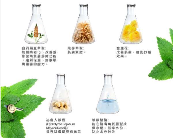 Image 7.jpg - 女人知已