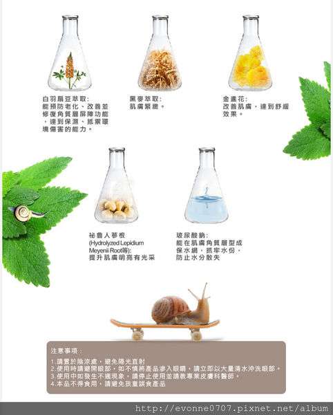蓓亞B.yar蝸牛保濕抗皺面膜
