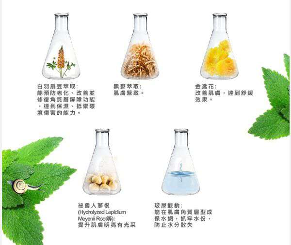 蓓亞B.yar蝸牛保濕抗皺面膜