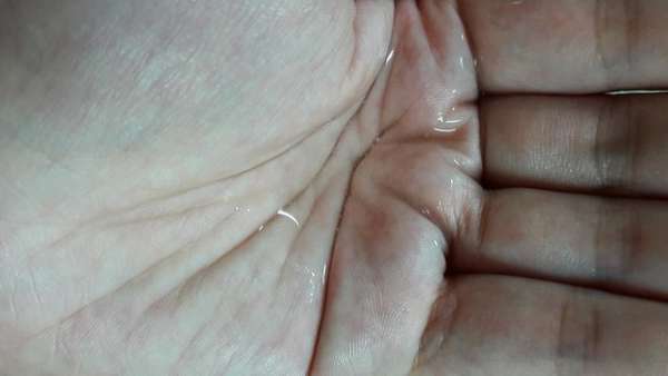 蓓亞B.yar蝸牛保濕抗皺面膜