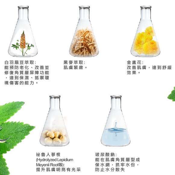 蓓亞B.yar蝸牛保濕抗皺面膜