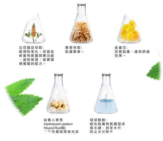 蓓亞B.yar蝸牛保濕抗皺面膜