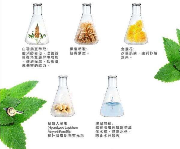 蓓亞B.yar蝸牛保濕抗皺面膜